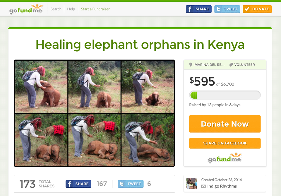 gofundme